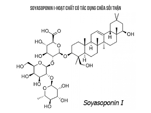 Cấu trúc Soyasaponin trong nhóm Triterpenoid (Kim Tiền Thảo)